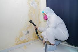 Best Environmental Consulting for Mold Prevention  in South Whittier, CA